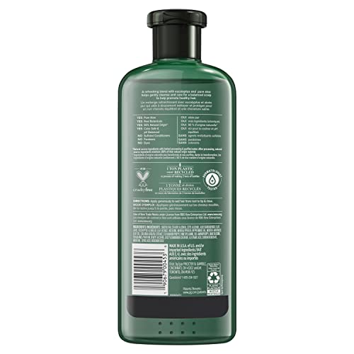 Herbal Essences bio: renew Potent Aloe + Eucalyptus Conditioner Scalp Balance, 400 Milliliters