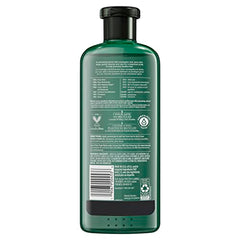 Herbal Essences bio: renew Potent Aloe + Eucalyptus Conditioner Scalp Balance, 400 Milliliters