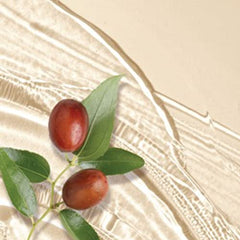 Herbal Essences Sulfate Free Jojoba Oil Shampoo, Smoothing Air Dry Shampoo for All Hair Types, 400mL