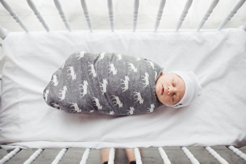 Copper Pearl Swaddle Blanket Scout