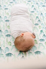 Copper Pearl Premium Fitted Knit Crib Sheet/Toddler Sheet"Desert", 0.60 gram (OJ-EYY1-Q58S)