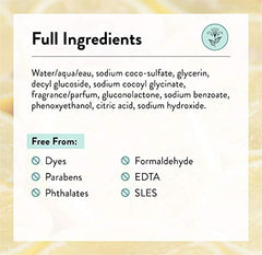 J.R. Watkins Lemon Foaming Hand Soap For Bathroom or Kitchen, Scented, USA Made And Cruelty Free