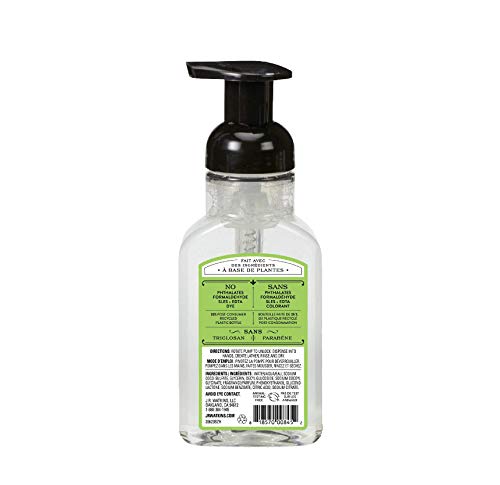 J.R. Watkins Aloe and Green Tea Foaming Hand Soap For Bathroom or Kitchen, Scented, USA Made And Cruelty Free, 266 Milliliters