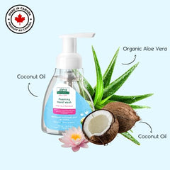 Aleva Naturals Hypoallergenic Foaming Hand Wash Soap, Plant-Based Organic Aloe Vera Formula with Water Lily Scent and Sensitive Skin Friendly for Cleaning Kids Hands - 10.1 fl. oz, 300ml