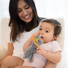 Dr. Brown's Baby Lovey Pacifier & Teether Holder, Triceratops with Grey HappyPaci, 100% Silicone, 0-6m