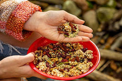 Canada Hemp Foods Organic Hemp Seeds, 227 Grams