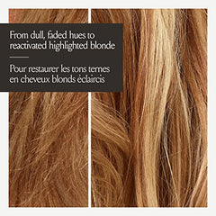 John Frieda Highlight Activating Brightening Shampoo for Blondes, 250 mL (Packaging May Vary)