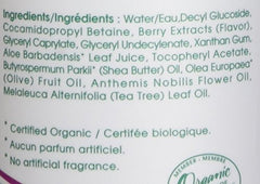 Aleva Naturals Bubble Bath - Long Lasting Moisture for Sensitive Skin, Made with Natural and Organic Ingredients with Fresh Berry Scent, for Newborn Babies and Toddlers - 8 Fl Oz