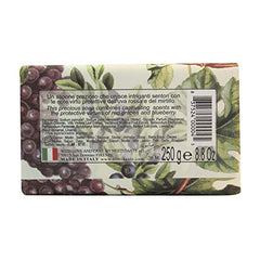 Nesti Dante Il Frutteto Italian Nourishing and Illuminating Bar Soap, Red Grapes and Blueberry, 250 Grams