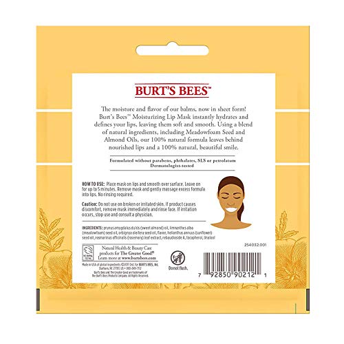 Burt's Bees 100% Natural Moisturizing Lip Mask, Single Use Conditioning Lip Care, 1 Count