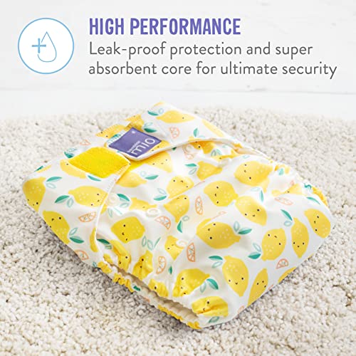 Bambino Mio, miosolo classic all-in-one cloth diaper, honeybee hive