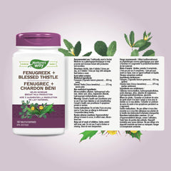 Nature's Way Fenugreek + Blessed Thistle – Herbal Supplement for Digestion & to Promote Lactation – 450mg Fenugreek & 375mg Blessed Thistle for Breastfeeding Support – 180 Vegetarian Tablets