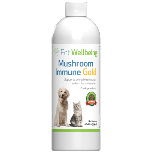 Mushroom immune supplement