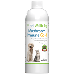 Mushroom immune supplement